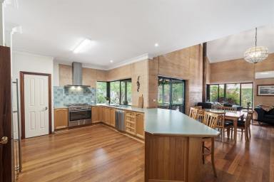 House For Sale - WA - Margaret River - 6285 - Tranquil Rural Lifestyle Property with Space, Privacy & Flexibility (Image 2)
