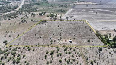 Other (Rural) For Sale - NSW - Moree - 2400 - Versatile RU1 Landholding on Moree's Northern Edge  (Image 2)