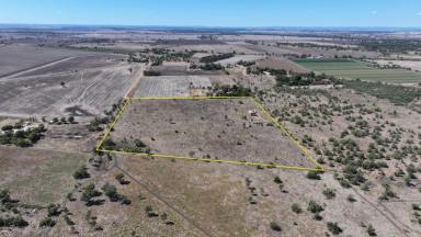 Other (Rural) For Sale - NSW - Moree - 2400 - Versatile RU1 Landholding on Moree's Northern Edge  (Image 2)