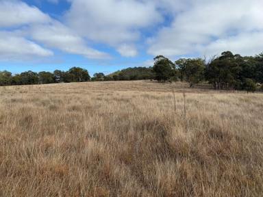 House For Sale - QLD - Sugarloaf - 4380 - A little hard work and creative mind is all you need for this property  (Image 2)