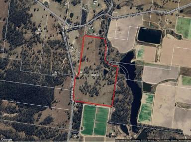 House For Sale - QLD - Sugarloaf - 4380 - A little hard work and creative mind is all you need for this property  (Image 2)