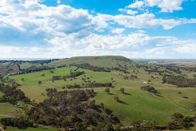 Cropping Auction - NSW - Goulburn - 2580 - Expansive acreage with working potential and outstanding rural views (Image 2)