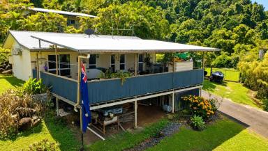 House For Sale - QLD - Tully - 4854 - Live On The High Side  (Image 2)