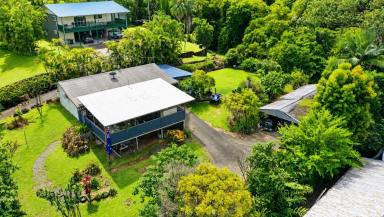 House For Sale - QLD - Tully - 4854 - Live On The High Side  (Image 2)