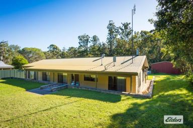 House For Sale - NSW - Kalaru - 2550 - Family Living in Kalaru  (Image 2)