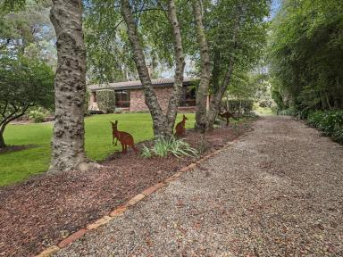 House For Sale - NSW - Moss Vale - 2577 - Architect-Designed Sanctuary - Modern Living & Endless Potential  (Image 2)