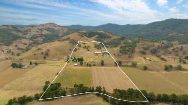 Lifestyle For Sale - NSW - Ogunbil - 2340 - "THE VALLEY" LIVE YOUR LUXURY EQUINE LIFESTYLE  (Image 2)