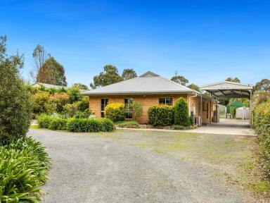 House For Sale - VIC - Johnsonville - 3902 - THE ULTIMATE PACKAGE – A DREAM SHED, HUGE BLOCK & BY THE WATER  (Image 2)