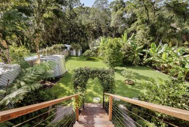 House Sold - QLD - Cooroy - 4563 - A Character Home with a Story to Tell (Image 2)