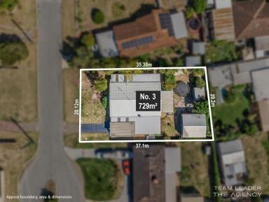 House For Sale - WA - Pinjarra - 6208 - HOME OPEN CANCELLED UNDER CONTRACT Freshly Updated, Full of Space & Packed With Extras  (Image 2)