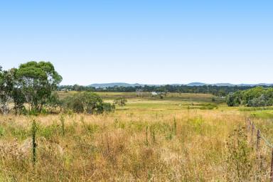 Mixed Farming For Sale - QLD - Southbrook - 4363 - 13.25 acre lifestyle opportunity  (Image 2)