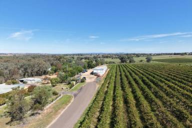 Residential Block Auction - NSW - Cowra - 2794 - Large Working Shed with Easy Sealed Access  (Image 2)