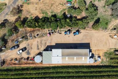 Residential Block Auction - NSW - Cowra - 2794 - Large Working Shed with Easy Sealed Access  (Image 2)