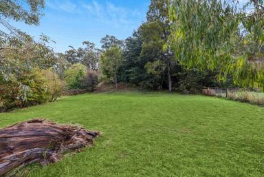 House For Sale - SA - Hahndorf - 5245 - A Once in a Lifetime Landholding in the Heart of Hahndorf  (Image 2)