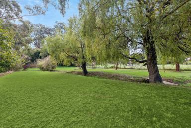 House For Sale - SA - Hahndorf - 5245 - A Once in a Lifetime Landholding in the Heart of Hahndorf  (Image 2)