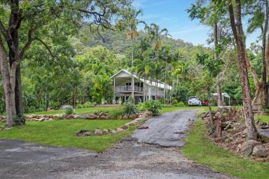 House For Lease - QLD - East Trinity - 4871 - Tropical Hideaway with the Beach in your Front Yard - 10kW Solar - East Trinity  (Image 2)
