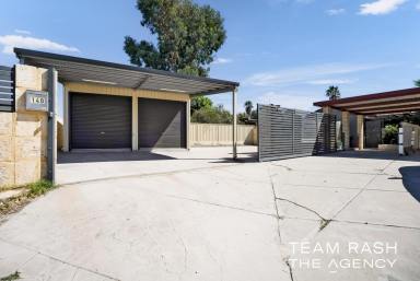 House For Sale - WA - Beechboro - 6063 - Effortless Living with Entertainer Appeal  (Image 2)