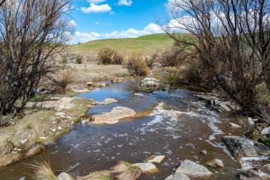 Other (Rural) For Sale - NSW - Laggan - 2583 - Clovelly Homestead, Country charm with income scope  (Image 2)