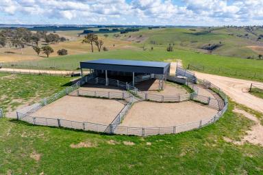 Other (Rural) For Sale - NSW - Laggan - 2583 - Farming for profit with lifestyle built in!  (Image 2)