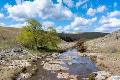 Other (Rural) For Sale - NSW - Laggan - 2583 - Clovelly Farm at Laggan (Image 2)