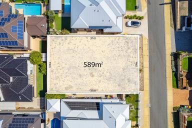 Residential Block For Sale - WA - Iluka - 6028 - Prime Land in a Premier Position!  (Image 2)