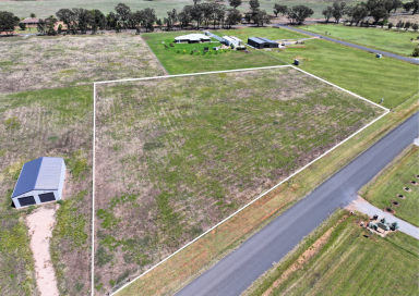Residential Block Sold - NSW - Temora - 2666 - Ellerslie Estate Temora - Lifestyle Parcel  (Image 2)