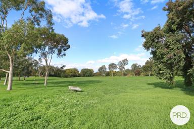 House For Sale - NSW - Hamilton Valley - 2641 - FUNCTIONAL LIVING IN A PRIME PARKSIDE POSITION  (Image 2)