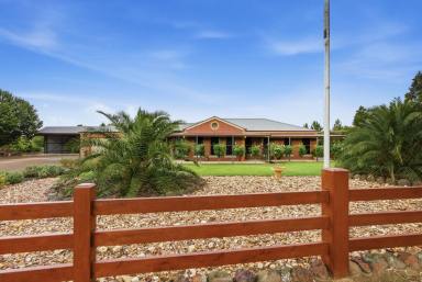 House For Sale - VIC - Ascot - 3364 - A PRIVATE HOMESTEAD HAVEN WITH SHED, SPACE & LIFESTYLE APPEAL (Image 2)