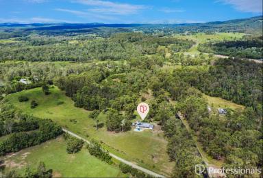 Lifestyle For Sale - QLD - Curra - 4570 - 'BRING THE FAMILY, ANIMALS AND YOUR ASPIRATIONS!  (Image 2)