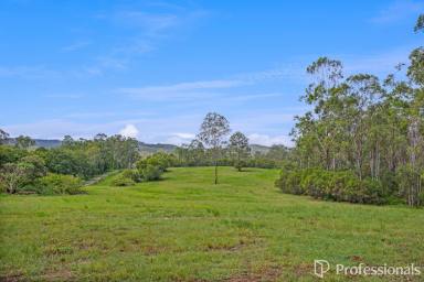 Lifestyle For Sale - QLD - Curra - 4570 - 'BRING THE FAMILY, ANIMALS AND YOUR ASPIRATIONS!  (Image 2)