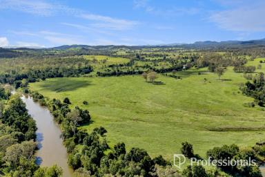 Other (Rural) For Sale - QLD - Bells Bridge - 4570 - Outstanding Mary River Property With 2.4km Mary River Frontage (Image 2)