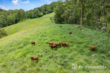Other (Rural) For Sale - QLD - Langshaw - 4570 - Fertile Scrub Soil With Secure Water Supply (Image 2)