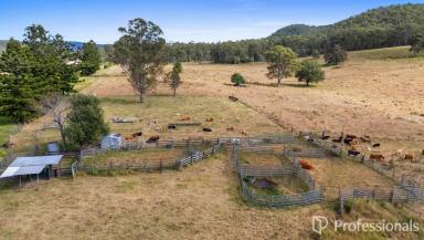 Other (Rural) For Sale - QLD - Widgee - 4570 - 526 Acres | Two Titles | Spacious Homestead | Creek Frontage  (Image 2)