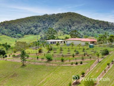 Acreage/Semi-rural For Sale - QLD - Wilsons Pocket - 4570 - BREATHTAKING RURAL RETREAT - STUNNING VIEWS, MODERN LIVING & ENDLESS POTENTIAL!  (Image 2)