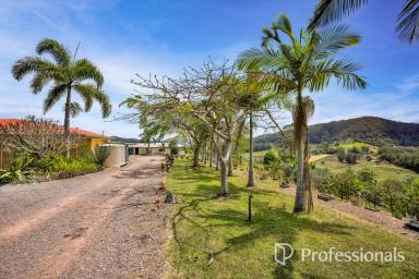 Acreage/Semi-rural For Sale - QLD - Wilsons Pocket - 4570 - BREATHTAKING RURAL RETREAT - STUNNING VIEWS, MODERN LIVING & ENDLESS POTENTIAL!  (Image 2)