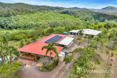 Acreage/Semi-rural For Sale - QLD - Wilsons Pocket - 4570 - BREATHTAKING RURAL RETREAT - STUNNING VIEWS, MODERN LIVING & ENDLESS POTENTIAL!  (Image 2)