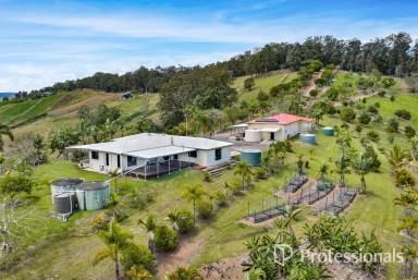 Acreage/Semi-rural For Sale - QLD - Wilsons Pocket - 4570 - BREATHTAKING RURAL RETREAT - STUNNING VIEWS, MODERN LIVING & ENDLESS POTENTIAL! (Image 2)