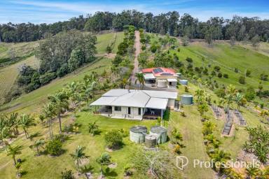 Acreage/Semi-rural For Sale - QLD - Wilsons Pocket - 4570 - BREATHTAKING RURAL RETREAT - STUNNING VIEWS, MODERN LIVING & ENDLESS POTENTIAL!  (Image 2)