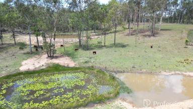 Residential Block For Sale - QLD - Owanyilla - 4650 - Lifestyle Acreage On The Bruce Highway  (Image 2)