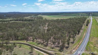 Residential Block For Sale - QLD - Owanyilla - 4650 - Lifestyle Acreage On The Bruce Highway  (Image 2)