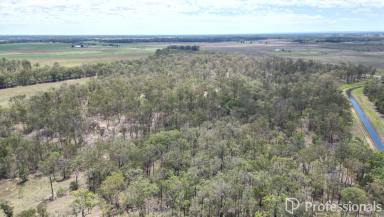 Residential Block For Sale - QLD - Owanyilla - 4650 - Lifestyle Acreage On The Bruce Highway  (Image 2)