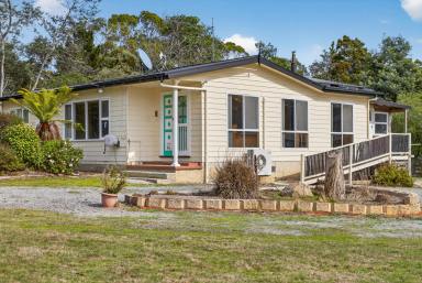 House For Sale - TAS - Beaconsfield - 7270 - 'Wildhaven'  (Image 2)