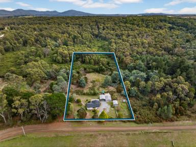 House For Sale - TAS - Beaconsfield - 7270 - 'Wildhaven'  (Image 2)