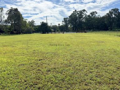 Residential Block For Sale - QLD - Millstream - 4888 - Land Lovely Land  (Image 2)