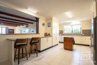 House For Sale - NSW - Glen Innes - 2370 - Large Family Home  (Image 2)