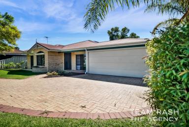 House For Sale - WA - Banksia Grove - 6031 - Move In & Enjoy  (Image 2)