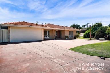 House For Sale - WA - Beechboro - 6063 - MOVE-IN READY WITH POOL, SHED & ENDLESS OUTDOOR POTENTIAL  (Image 2)