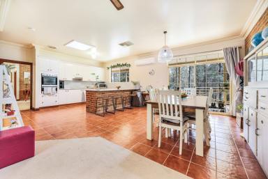 House Auction - NSW - Tamworth - 2340 - SPACE, PRIVACY & LIFESTYLE - JUST MINUTES FROM TAMWORTH (Image 2)