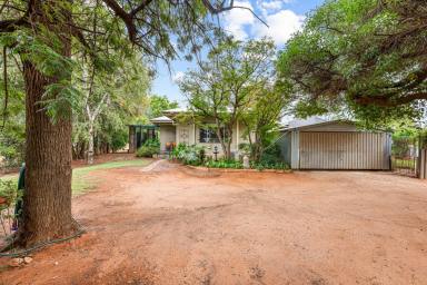 House For Sale - VIC - Red Cliffs - 3496 - LIVE THE LIFESTYLE YOU WANT!  (Image 2)