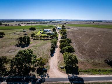 Mixed Farming For Sale - SA - Lochaber - 5271 - Ferndale and Broome Flat  (Image 2)